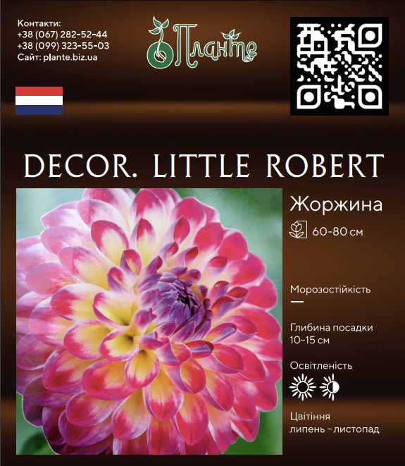 Decor. Little Robert
