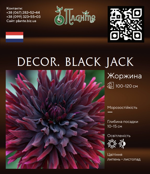Decor. Black jack