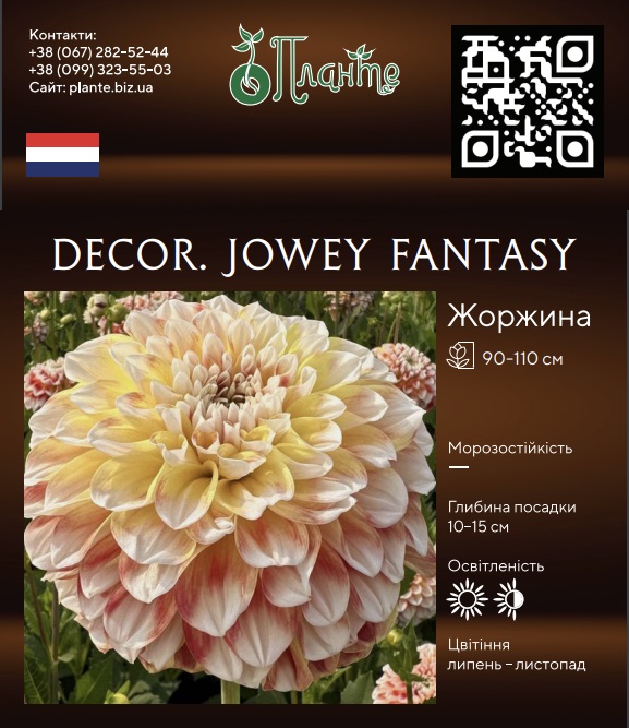 Decor. Jowey Fantasy