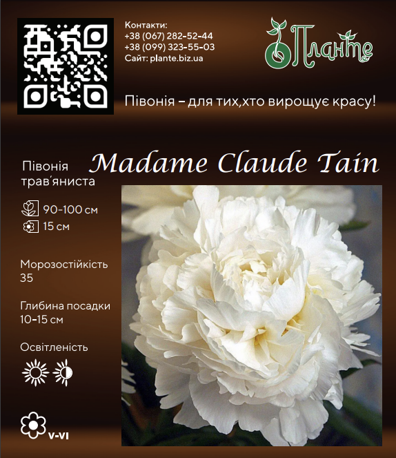 Madame Claude Tain
