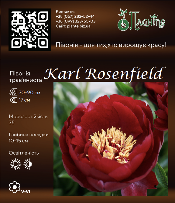Karl Rosenfield