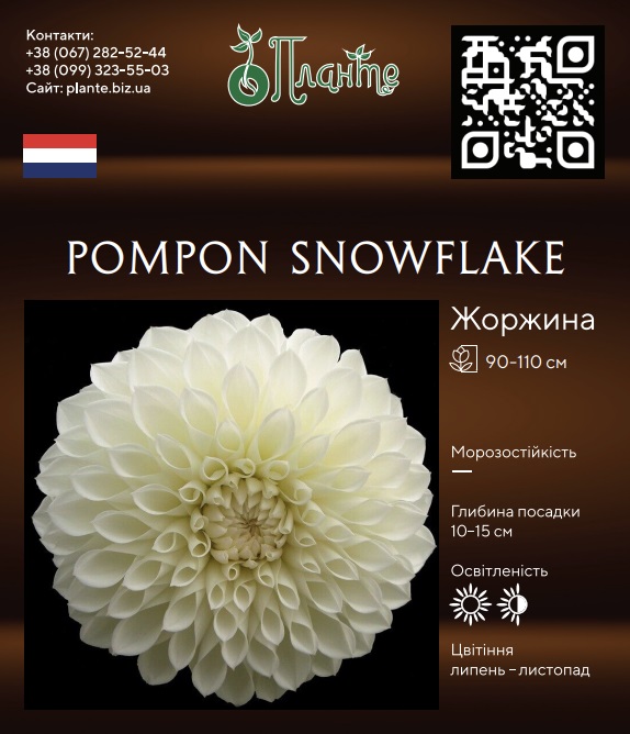 Pompon Snowflake