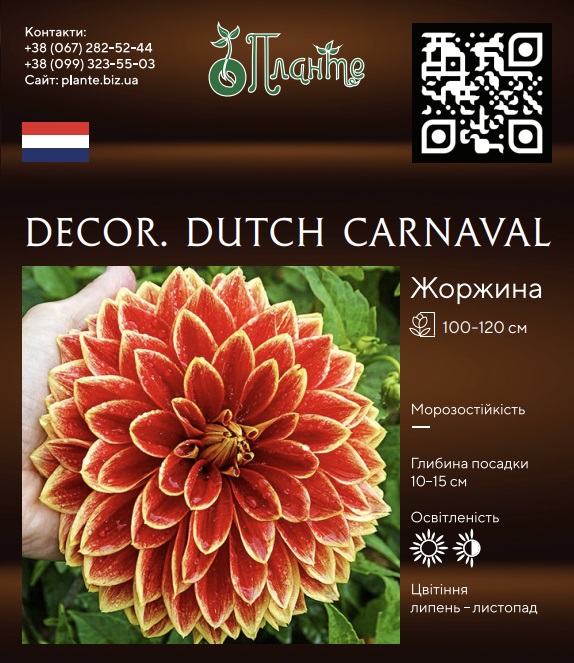 Decor. Dutch Carnaval