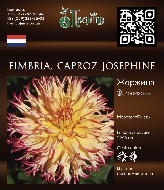 Fimbria. Caproz Josephine