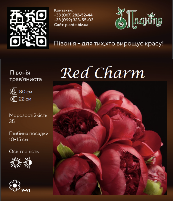 Red Charm