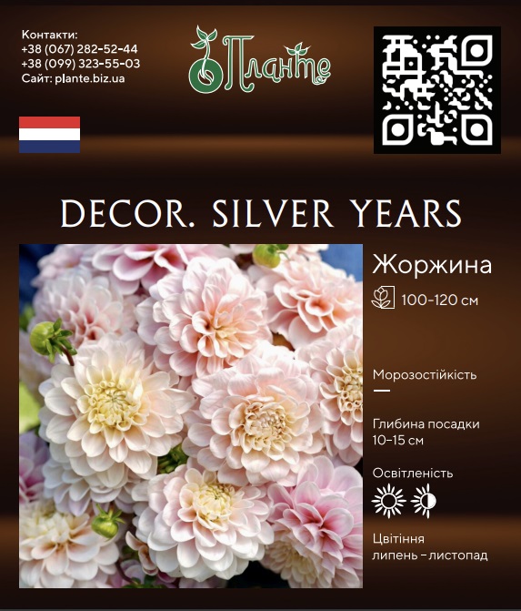 Decor. Silver Years