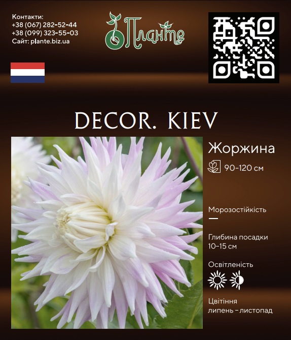 Decor. Kiev