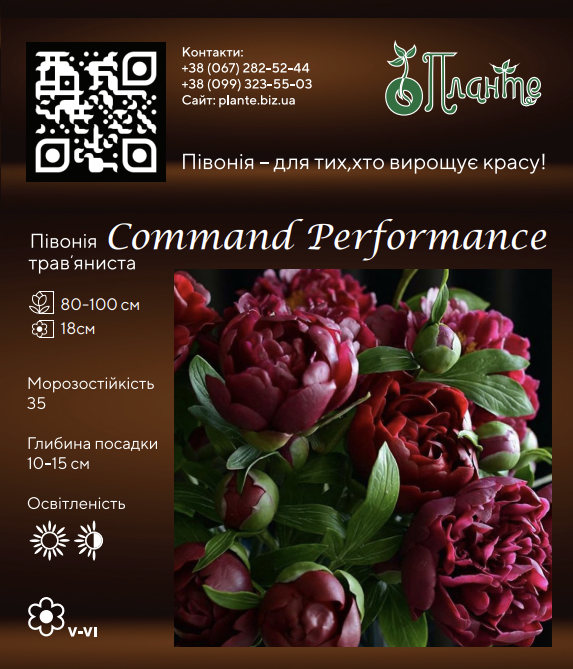 Command Performance