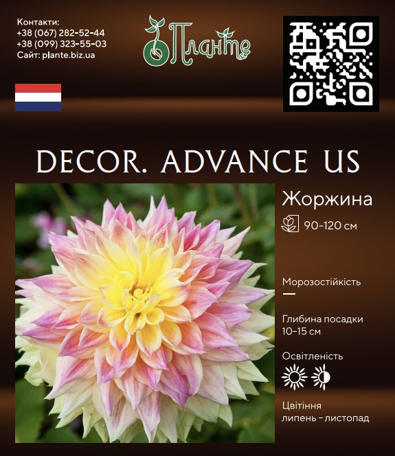 Decor. Advance US