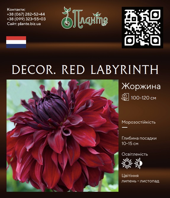 Decor. Red Labyrinth
