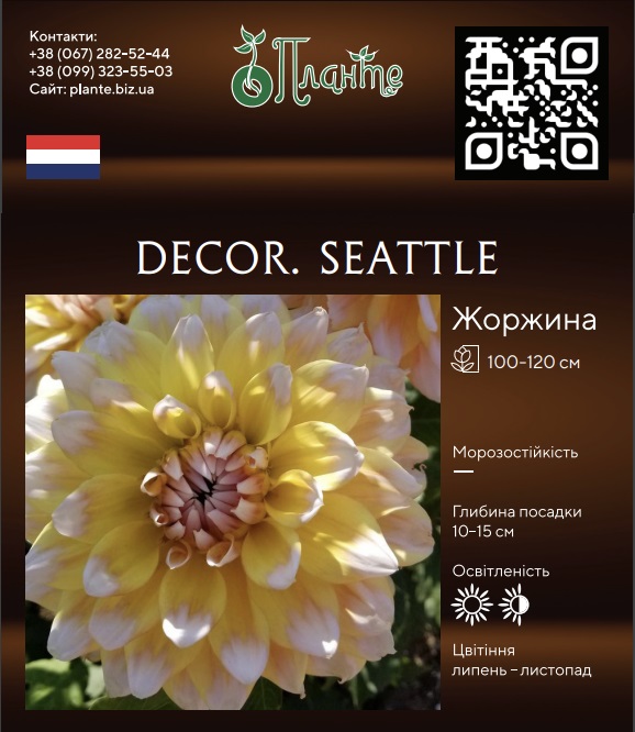Decor. Seattle