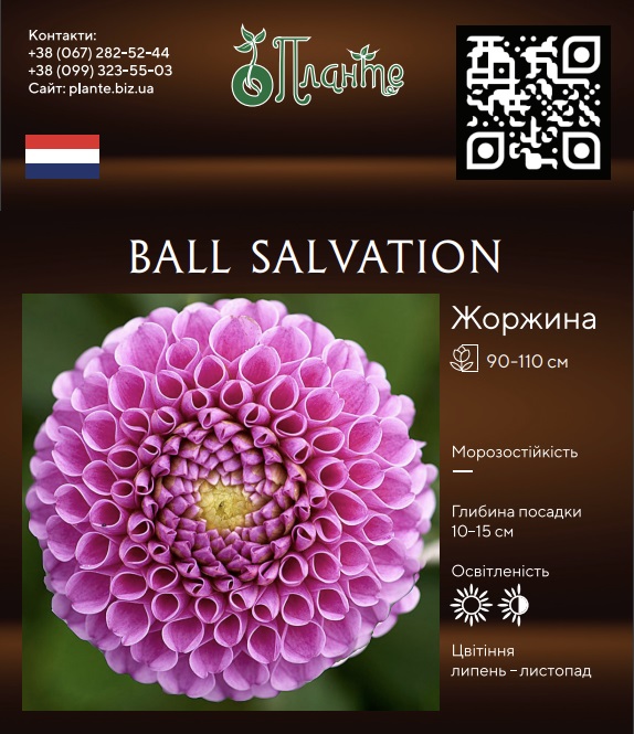 Ball Salvation