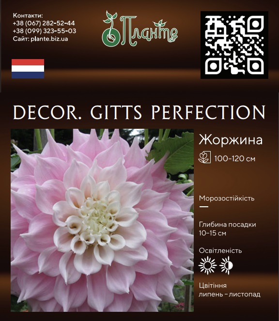 Decor. Gitts Perfection