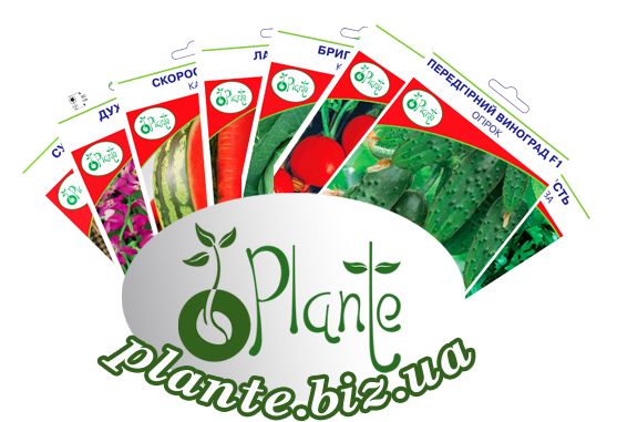 Купити насіння та саджання в 
    м. Хмельницький в магазині «Plante»
