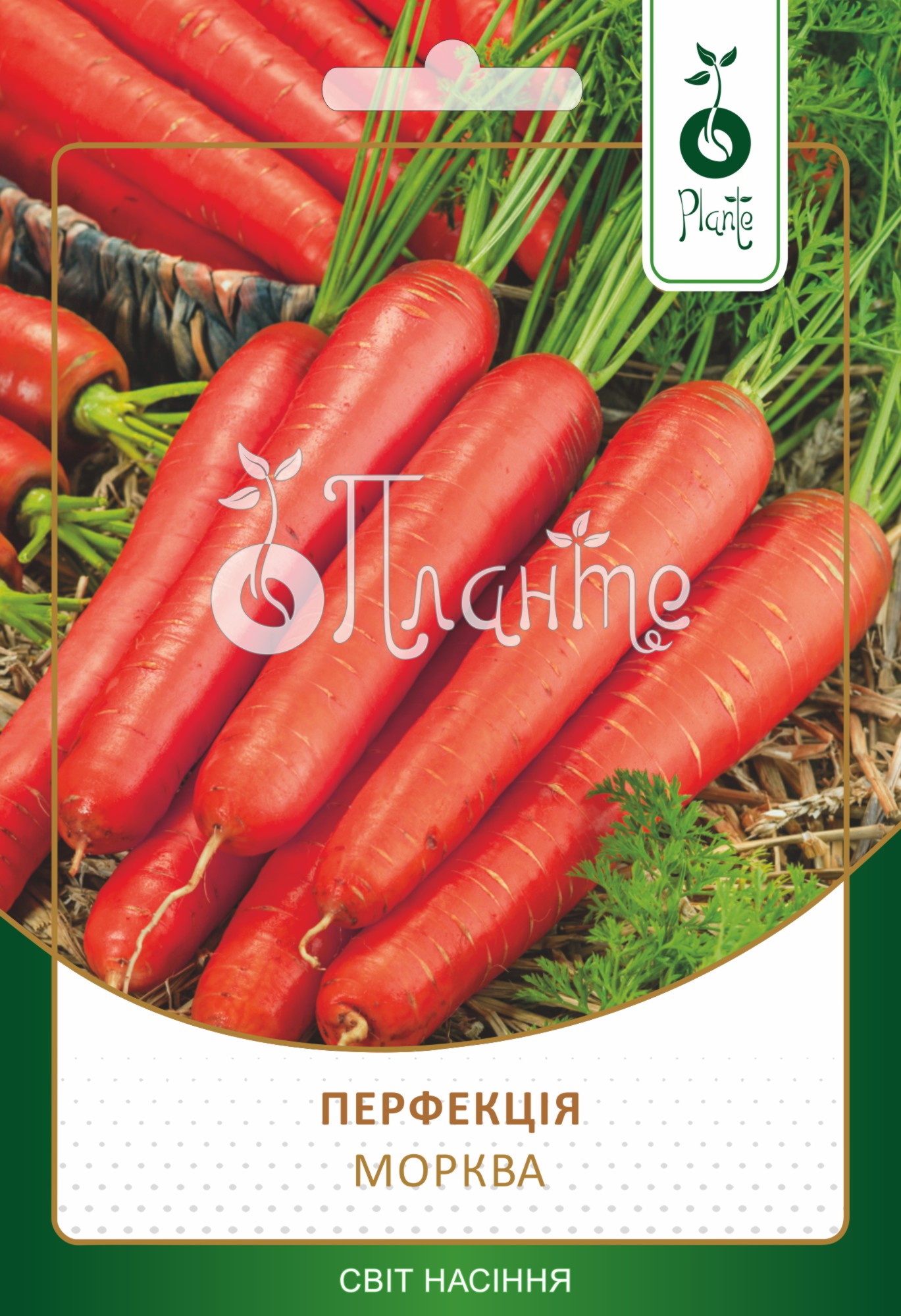 Морква Перфекція