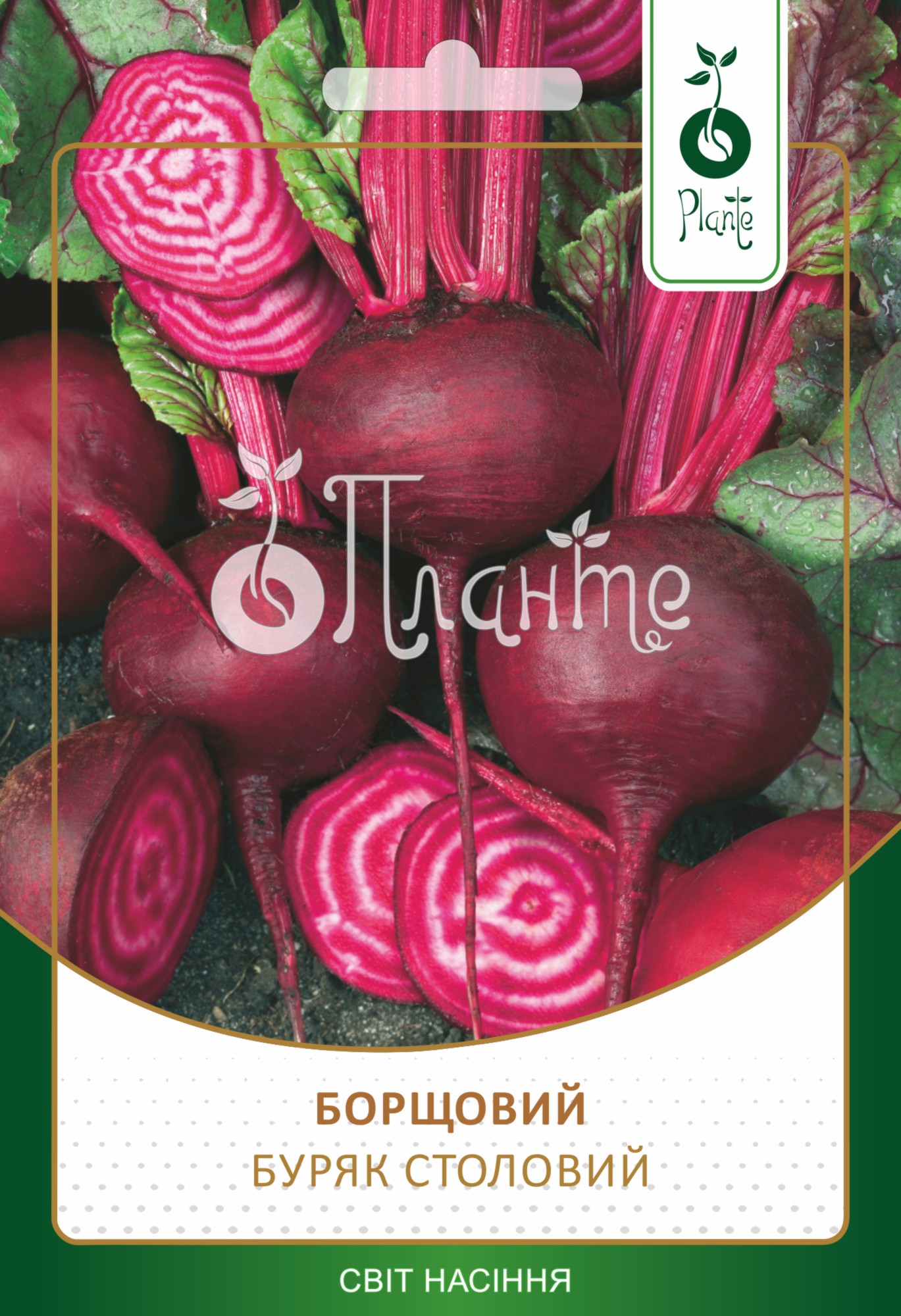 Буряк Борщовий