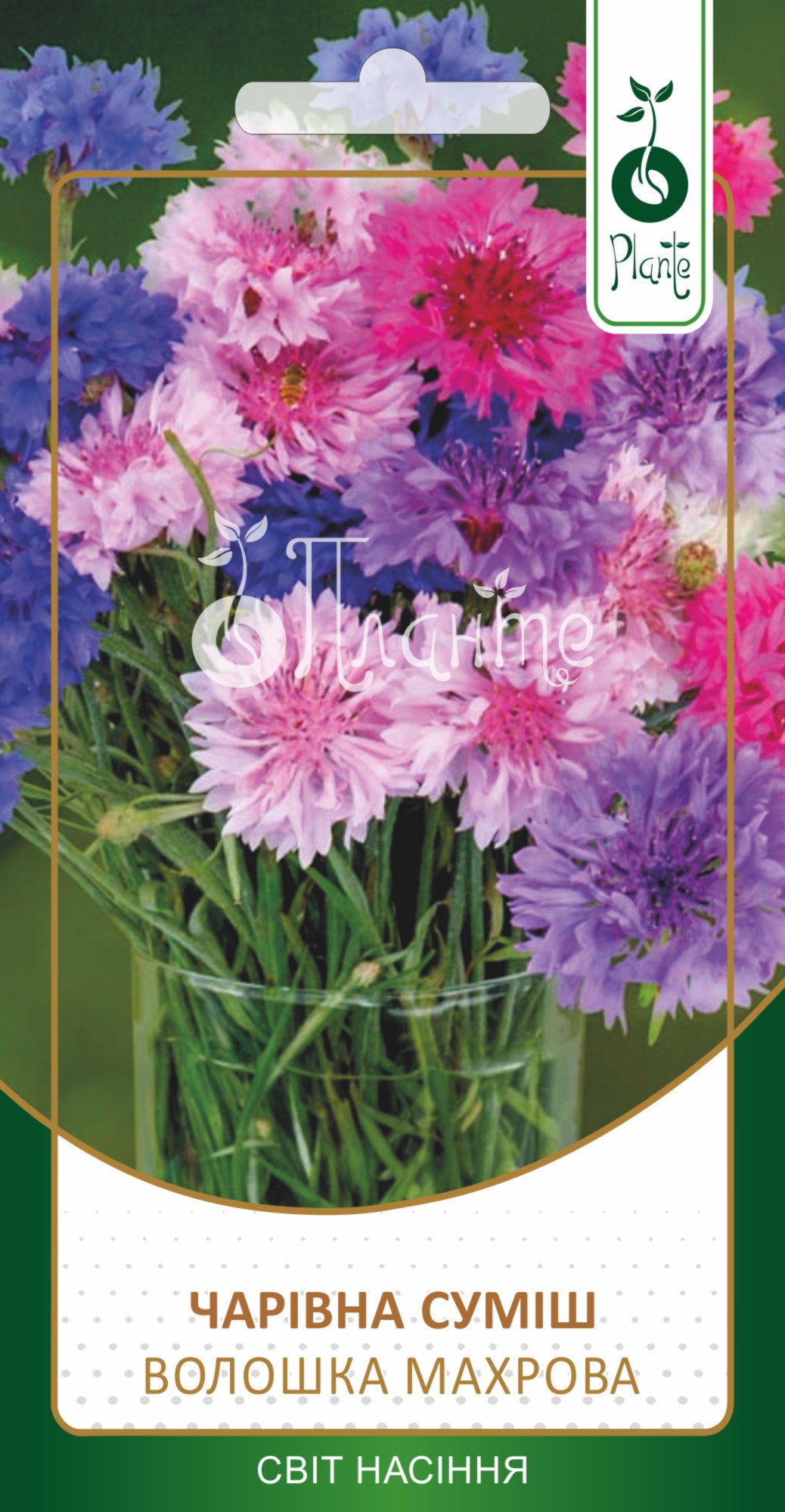 Волошка махрова 