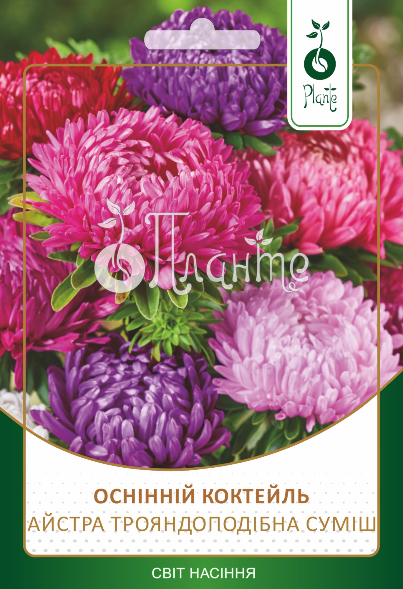 Айстра  Осінній коктейль піоновидна суміш
