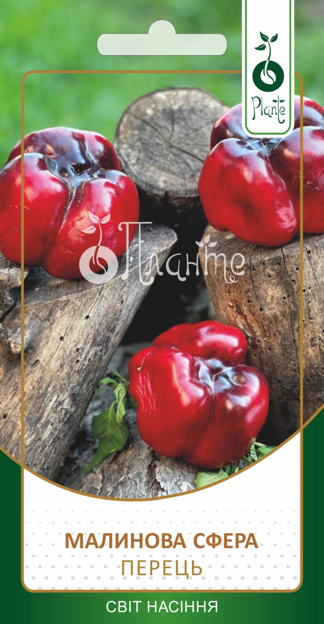 Перець солодкий 