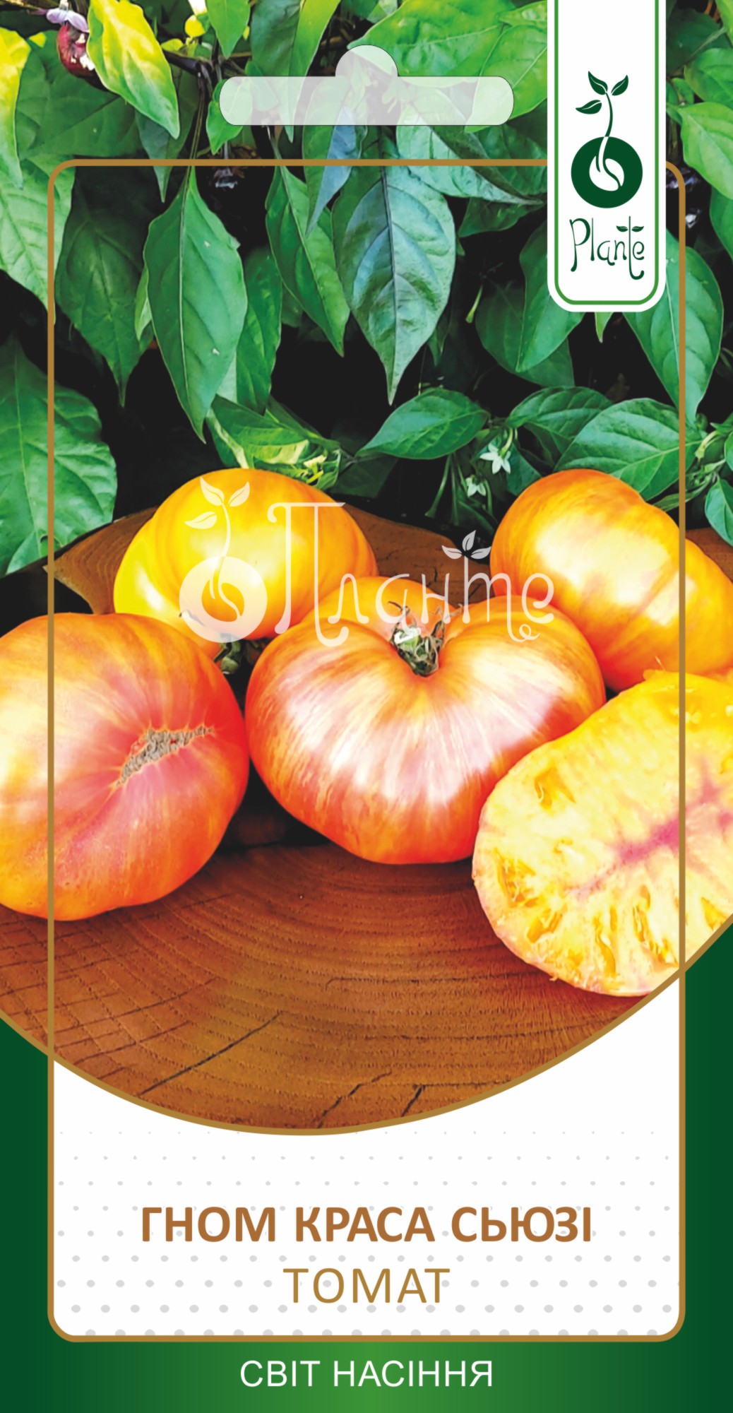 Томат Гном Краса Сюзі