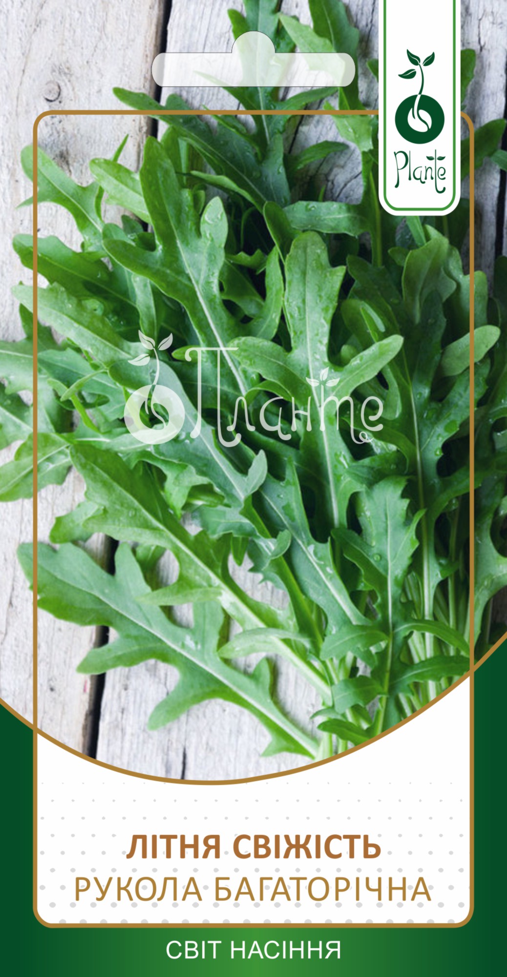 Рукола Літня свіжість (багаторічна)