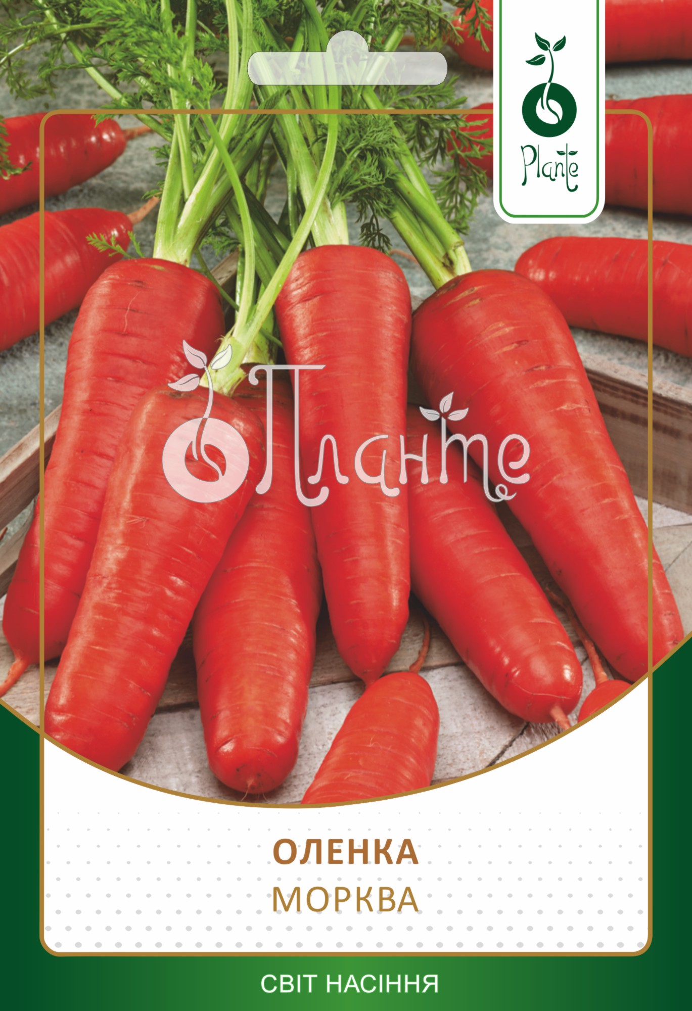 Морква Оленка