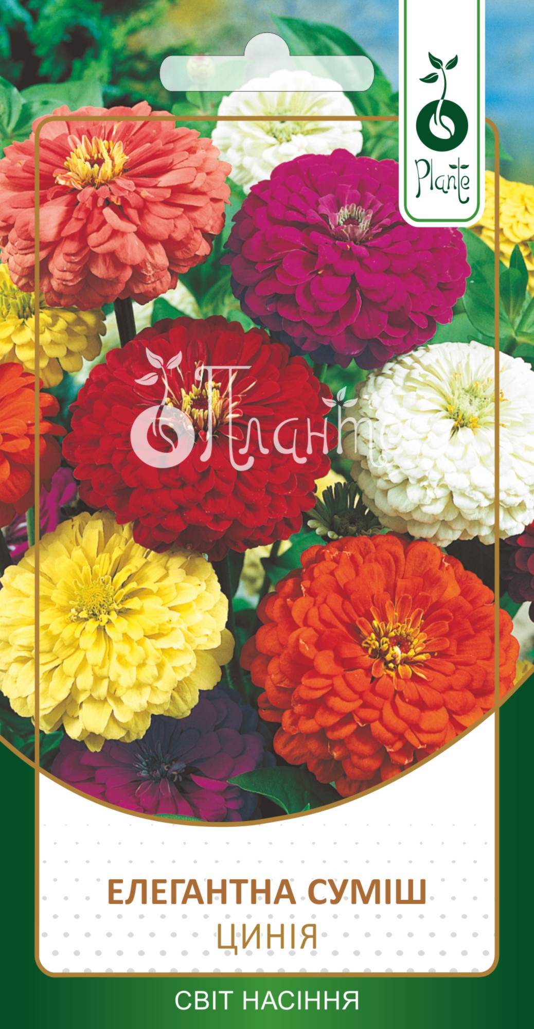 Цинія високоросла суміш
