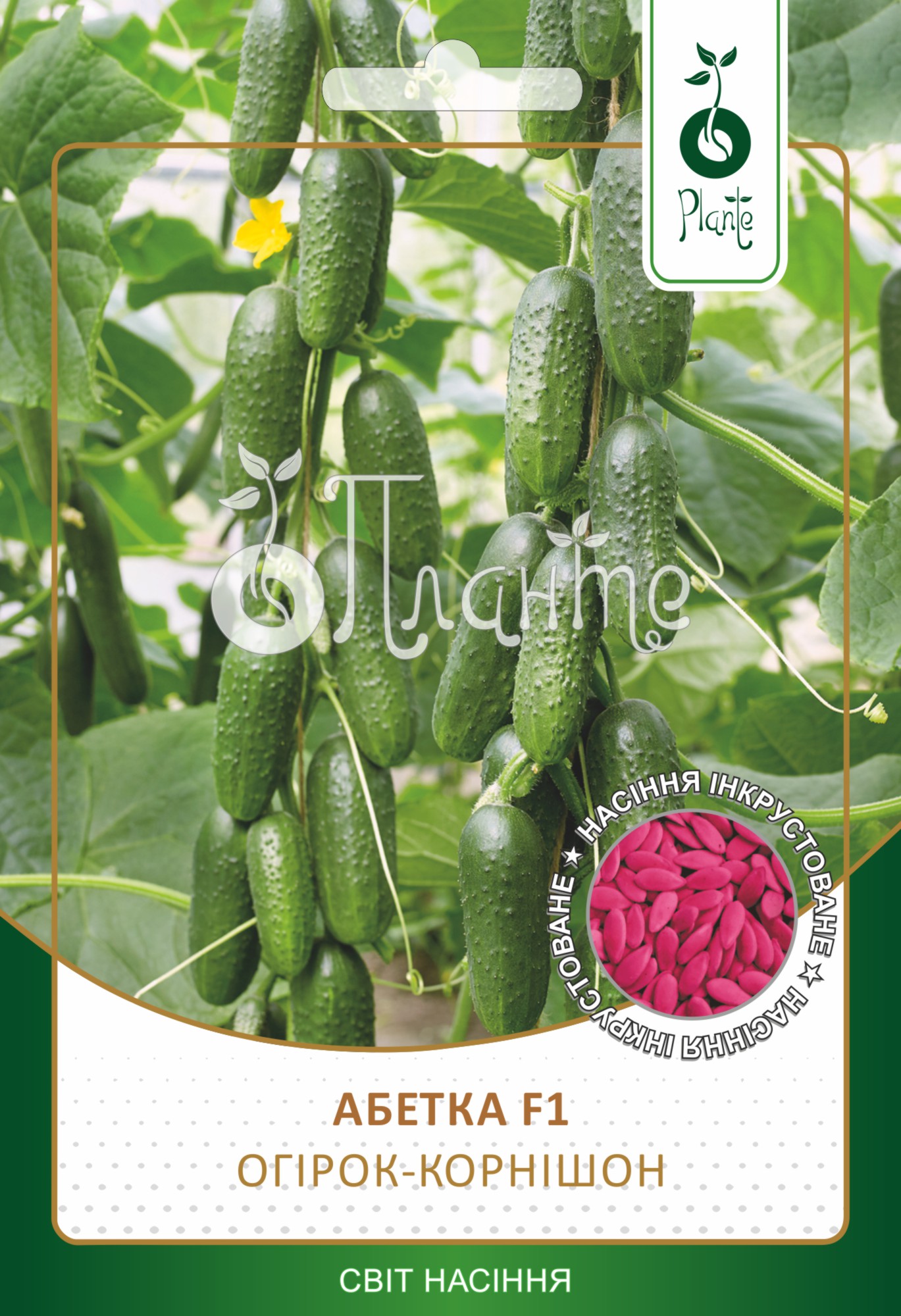 Огірок-корнішон 