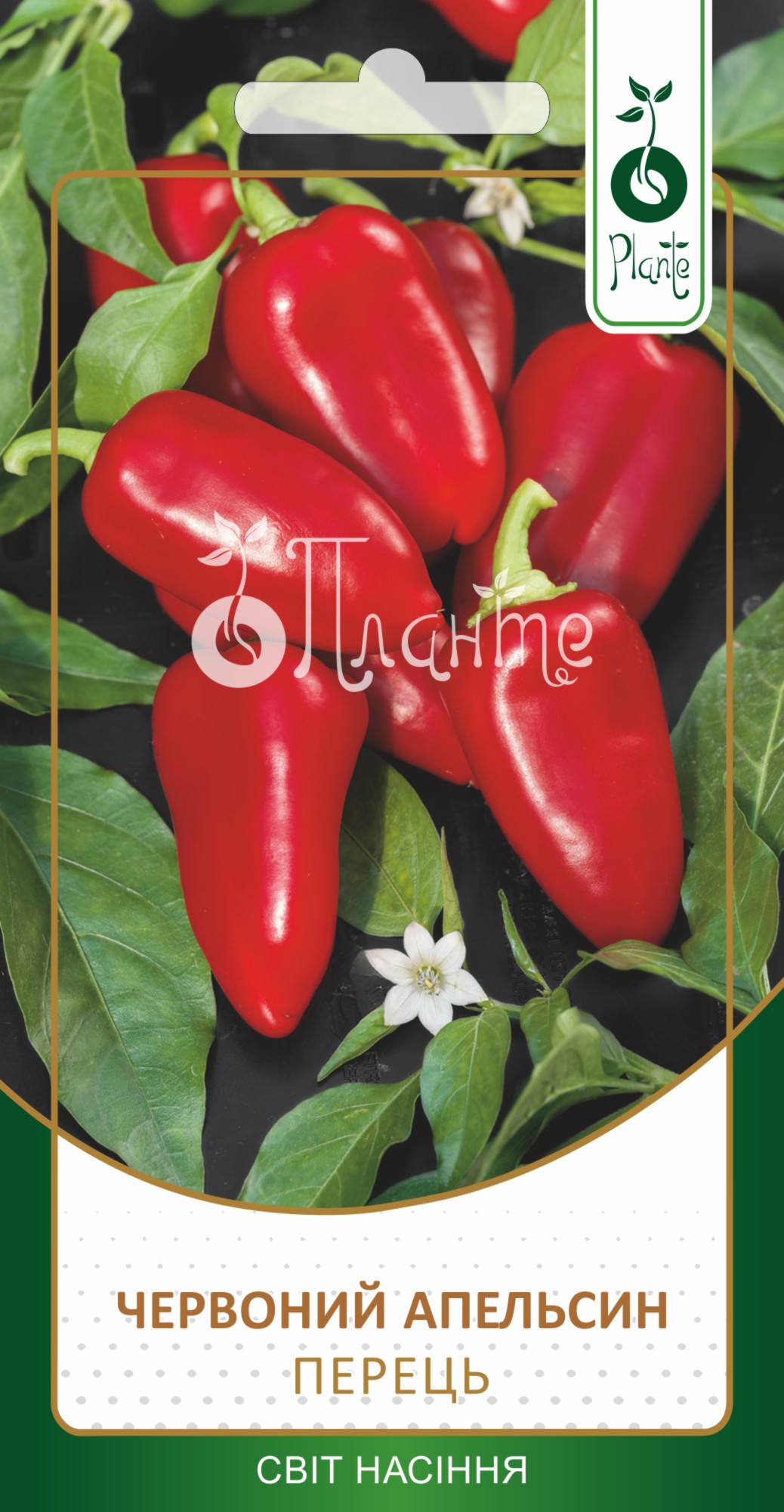 Перець солодкий 