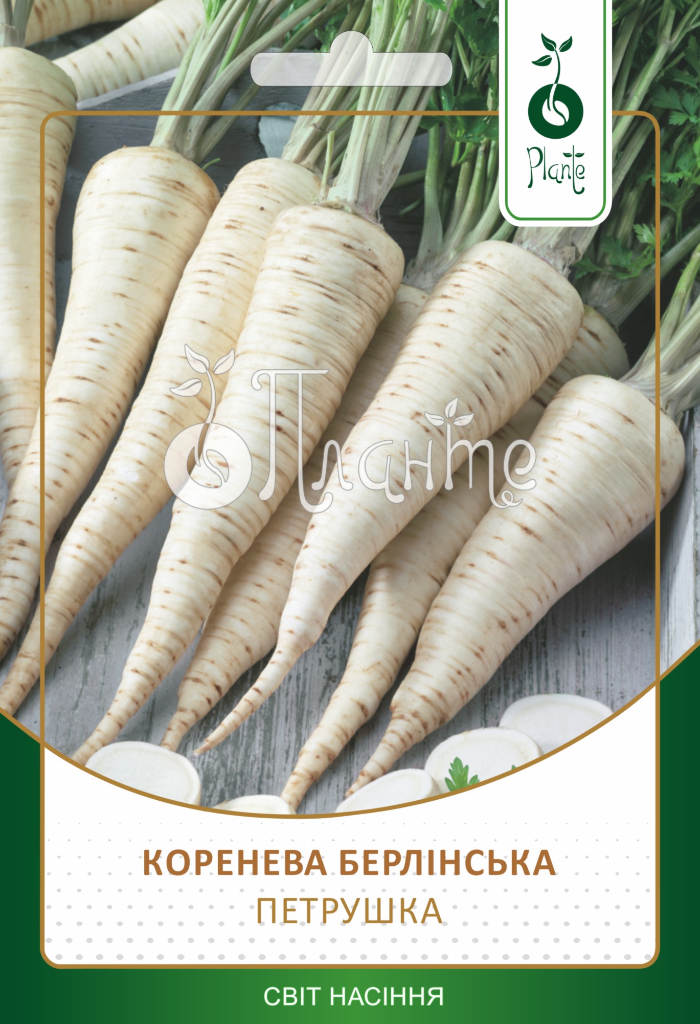 Петрушка коренева Берлінська