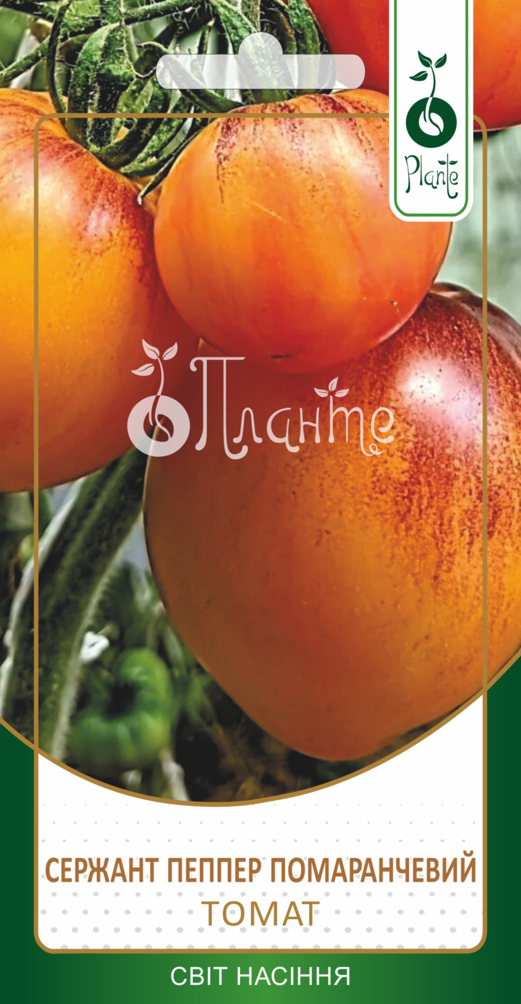 Томат Сержант Пеппер Помаранчевий