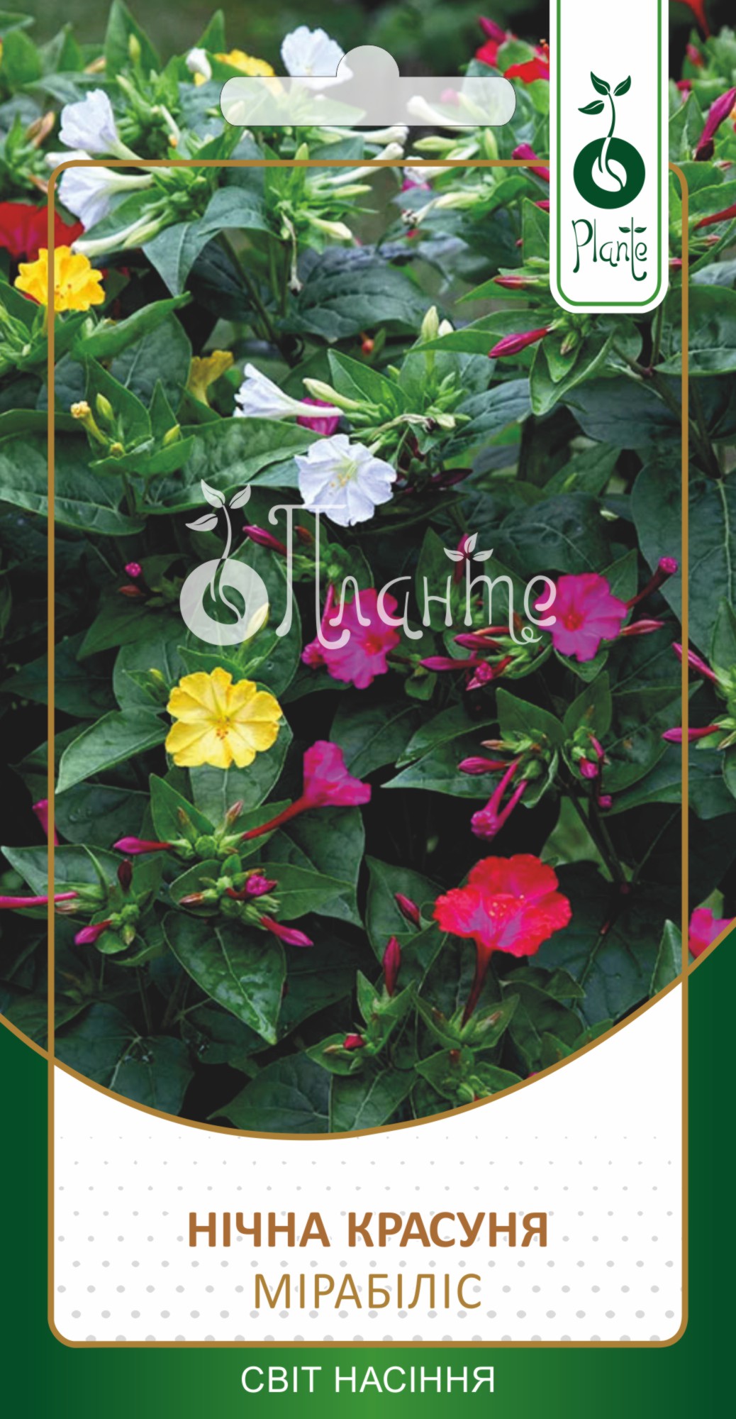 Мірабіліс суміш ( Нічна Красуня)