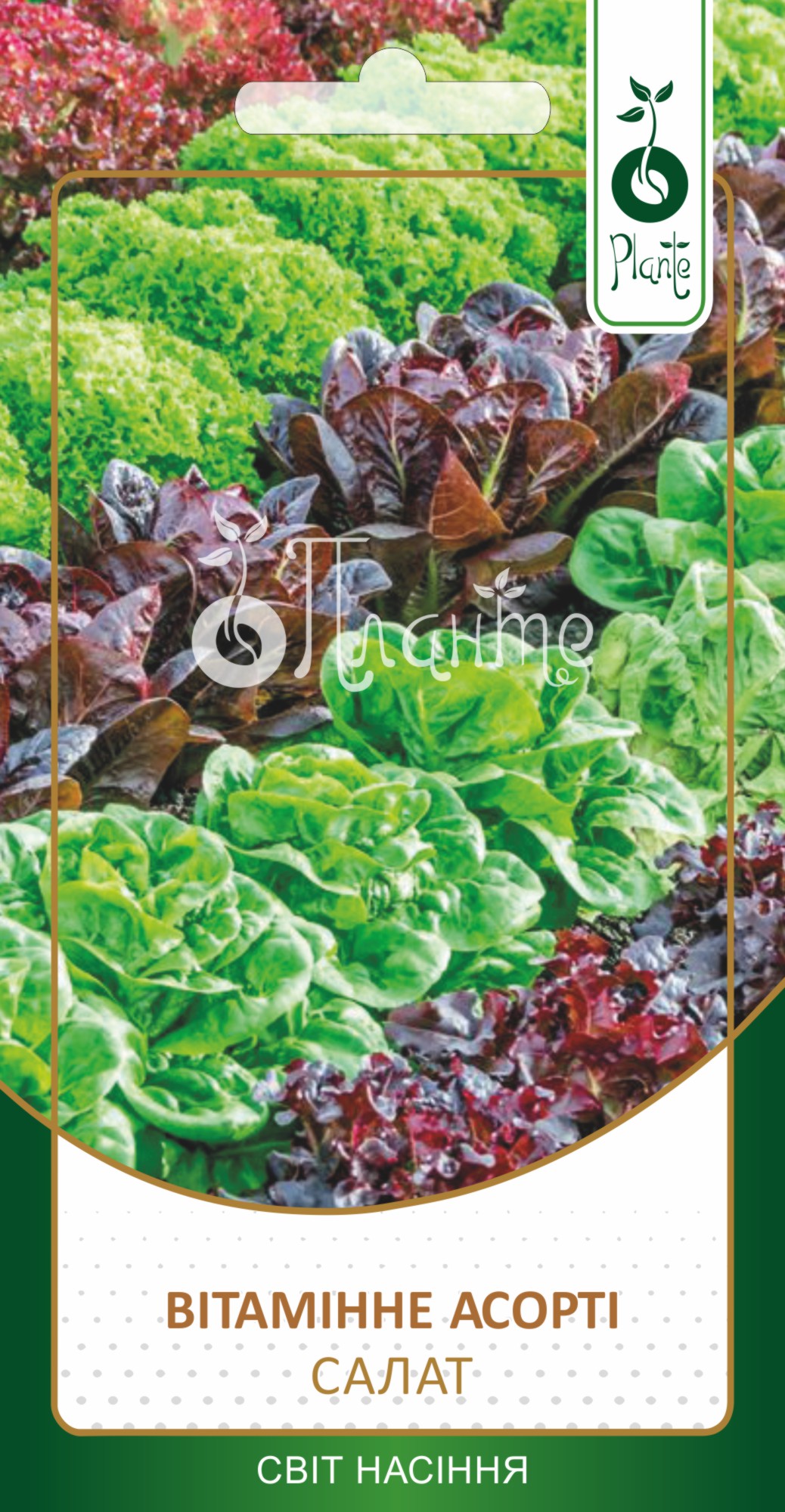 Салат Вітаміне асорті