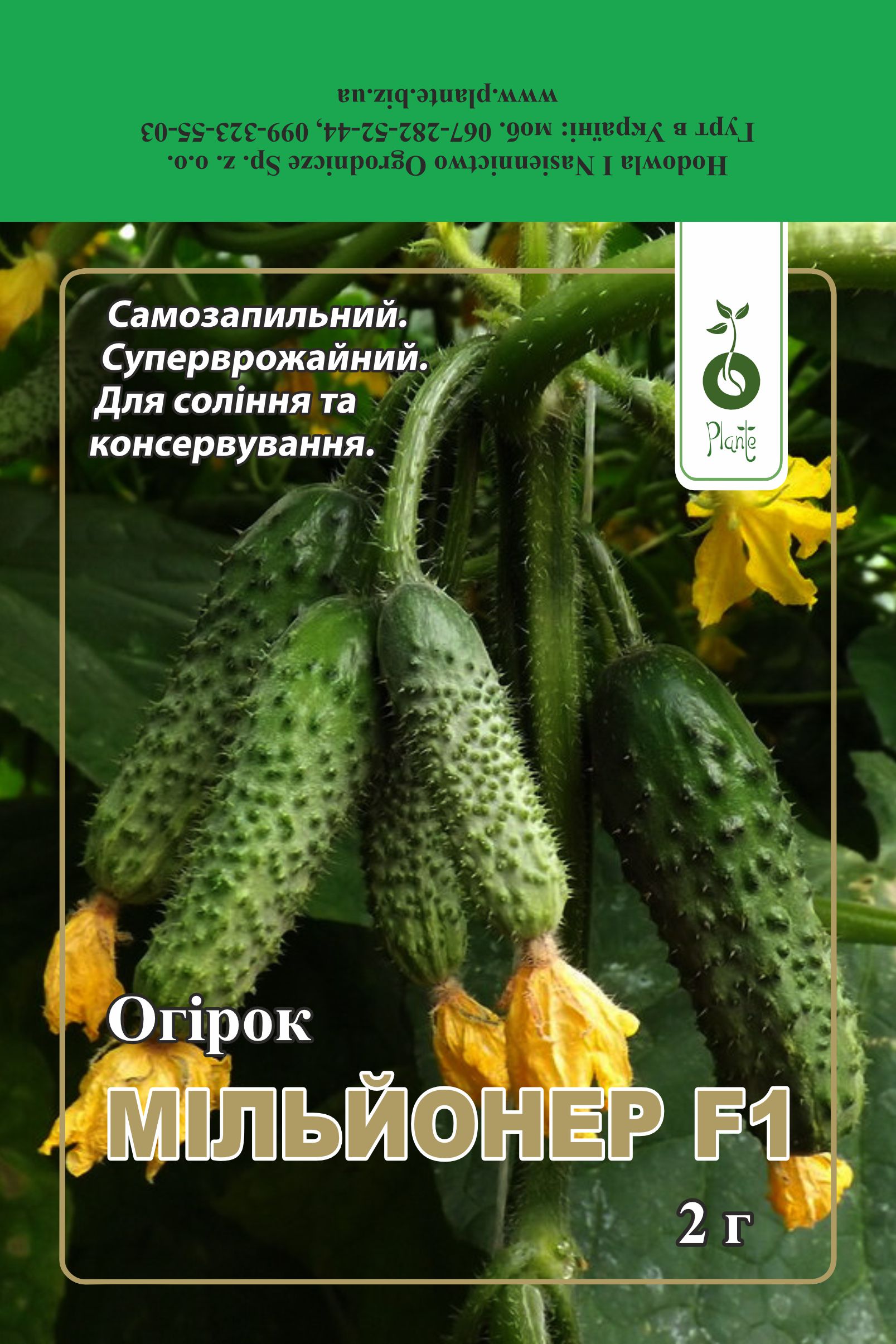 Огірок Мільйонер F1