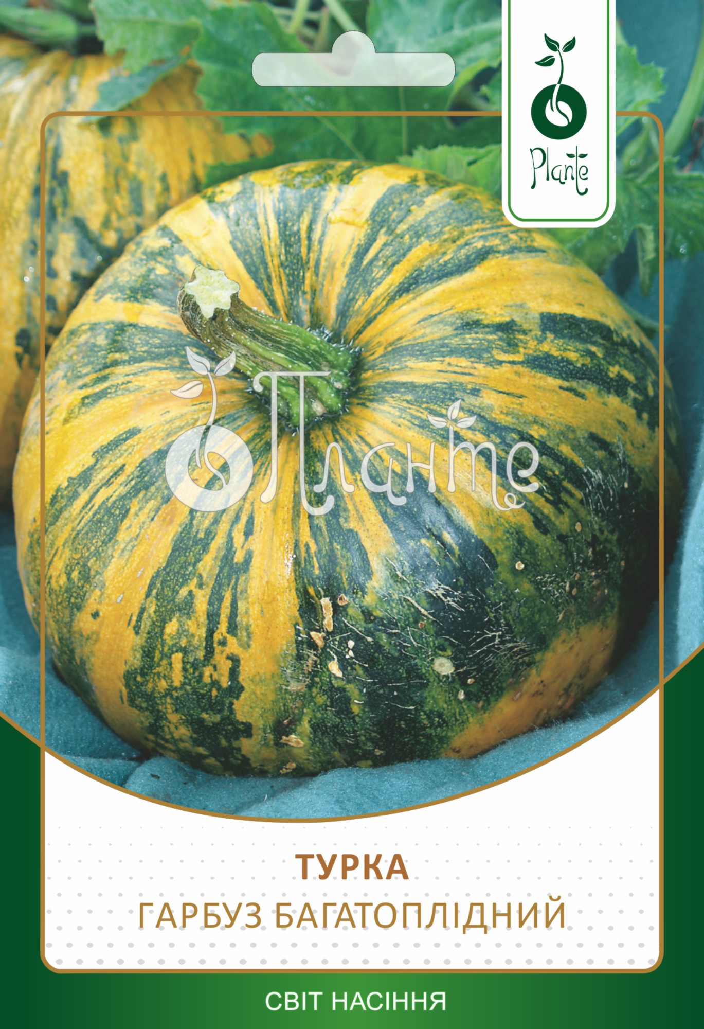Гарбуз багатоплідний 